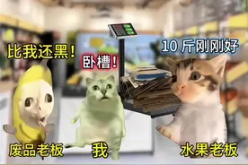 当我往五斤的纸壳掺水#猫meme #猫meme小剧场 #卖纸壳 #搞笑视频封面