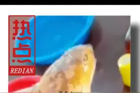 蛇酒#蛇酒 #科普一下 #科普知识 #科普涨知识