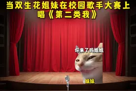 “当双生花姐妹在校园歌手大赛上唱《第二类我》”#猫meme