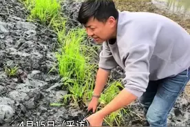 爷爷不小心遗失带了八年的金戒指，孩子们从各地赶回帮忙寻找 （视频来源@Xiaoshuai131468 ）#隔代亲