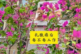 乳腺癌后要不要工作 治疗初期,要安心治病;可以上班，但不要上火