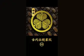 #家徽 大名鼎鼎“新选组”的甲方爸爸，会使用什么家纹？ #家纹 #新选组 #德川家康 #松平容保