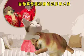 当你突然意识到自己是男人时 #cheems #动画