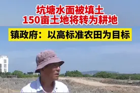 150亩坑塘水面转为耕地，镇政府：以高标准农田为目标