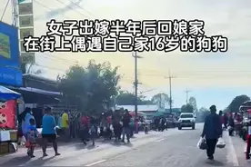 看到是小主人回来了，狗狗特别开心奔向她 #狗是人类最忠诚的朋友 #是宠物更是家人 #万物皆有灵性视频封面