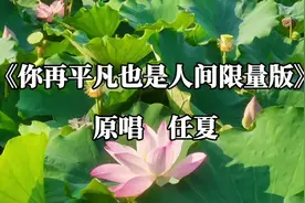 《你再平凡也是人间限量版》原唱  任夏#音乐分享视频封面