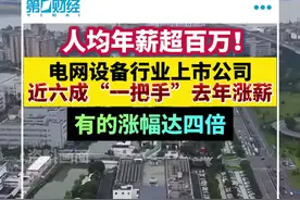 人均年薪超百万！电网设备行业上市公司近六成“一把手”去年涨薪视频封面