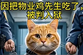 橘猫吃掉朋友被捕了，我还是会出来的#橘猫 #橘猫还是那个橘猫 #社会猫 #猫咪视频封面