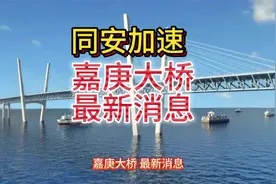 嘉庚大桥#福建厦门 #老百姓关心的话题 #厦门 #同安#嘉庚大桥视频封面