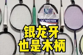 悬浮手柄挺好用的，除了有点龙吟 #羽毛球拍 #龙牙之刃 #李梓嘉