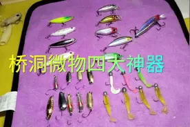 微物路亚四种常用饵。#路亚 #钓鱼 #路亚假饵 #微物路亚 #掏桥洞