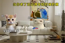 当你老了还记得年轻时候的梗#猫meme #梗 #搞笑 #真实还原