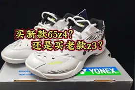 65z4还是65z3？你会怎么选？#65z4 #65z3 #65z3白虎纹视频封面