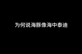 为何说海豚像海中的泰迪？#知识分享 #省流 #涨知识啦视频封面