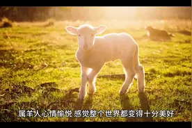 2024年5月27日，星期一，农历四月二十 （甲辰年己巳月辛卯日）视频封面