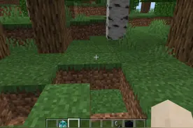 我的世界 我的世界草方块#我的世界 #我的世界小技巧