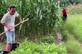 我这是欺负人了吗？#我的乡村生活 #农村搞笑段子 @小翠爱舞蹈视频封面