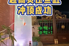 历时一个多月，老六的超高负压鱼缸冲顶成功 感谢所有兄弟们对老六的支持与陪伴#超高负压鱼缸 #负压鱼缸 #鱼缸里的大自然 #广西老六 #自己动手 @抖音短视频视频封面