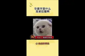 什么？！华晨宇竟然是花傲天的老板哥#华晨宇送花傲天LGD战队视频封面