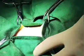 五倍速的母猫绝育侧切#一线兽医工作者 #视频封面