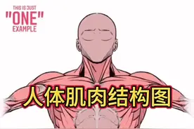 人体肌肉结构图，快收藏起来吧#人体结构 #运动解剖 #人体绘画视频封面