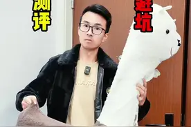 最近后来也有很多老铁想让我曝光一下这个羊驼玩具。这个玩具对咱们的孩子危害实在是太大了。大家一定要把视频看完！👉@姚弟测评  #测评 #毛绒玩具 #羊驼玩具 #伪劣产品