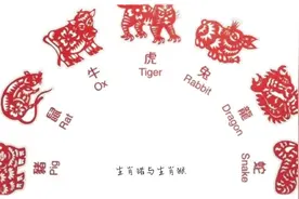 生肖猪与生肖猴#生肖好运 #生肖猪 #猪猪能有什么坏心思呢视频封面