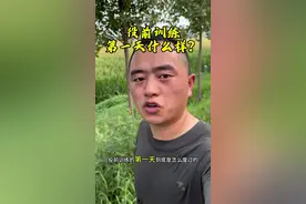 去役前训练的第一天是怎么度过的，您知道吗，一个视频让您看明白，点赞收藏转发给有需要的人，祝一切顺利 #役前训练 #参军知识 #入伍参军