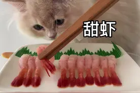 怎么回事！他居然会用手手自己吃饭？他可是一只猫耶 #万物可爱计划 #宅家治愈记 #猫咪吃饭视频封面