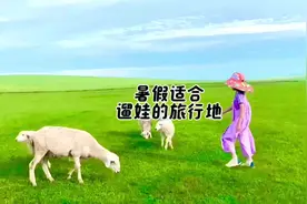 暑假带娃去哪玩，这几个宝藏城市别错过，提前安排，以防机票太贵