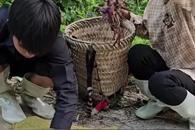 男孩和小雪卖螃蟹，还收了很多果子 #神奇的闲鱼#内容启发搜索