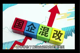 一分钟带你了解国企混改的主要类型#国企混改#国企改革#混改之王视频封面