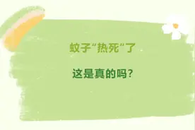 今夏北京蚊子变少，是热死了吗？北京疾控告诉你#北京dou知道