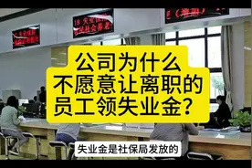 公司为什么不愿意让离职的员工领失业金？#失业金领取 #社保视频封面
