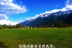 大S的突然离世 告诉了我们3个残酷的真相！#感悟生命 #感悟视频封面