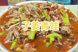 仔姜克猫儿，家里来新成员咯