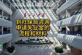 到社保局现场咨询，失业金的办理条件和申请流程！#社保 #失业金视频封面