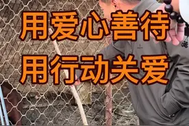 狗虽然不会说话 但它通人性一生忠诚！它会为盲人领航 会为特种行业效力 也会为每个单亲家庭带来欢笑 为什么要随意捕杀买卖 为了利益把它推向生命的尽头？#呼吁动物保护法立法 呼吁停止杀狗视频封面