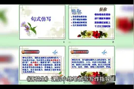 落花生仿写小练笔视频封面