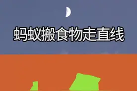 #涨见识 #冷知识 #奇闻趣事 蚂蚁搬运食物时为什么只会走直线呢？