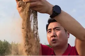 河南的干旱有多严重？持续40度的高温天气，河南的夏粮种植受灾面积大#河南旱情 #河南干旱 #河南遭遇严重旱情 #兆如丰 #农资李老板视频封面