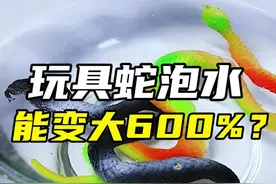 泡水变大600%的玩具！几千万人都在等后续？#测评  #挑战  #实验  #开箱视频封面
