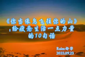 《你当像鸟飞往你的山》:给疲惫生活一点力量的10句话。 1视频封面