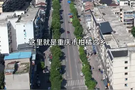 重庆市柑橘之乡李市镇。#美丽乡镇 #记录家乡美景 #美丽乡村 #柑橘之乡视频封面