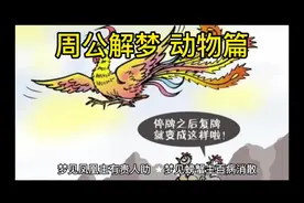 #周公解梦 #梦的解析视频封面