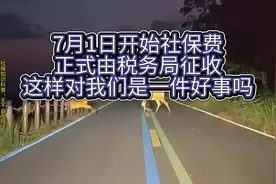 #社保  7月1日起，社保费是由税务局征收了