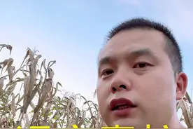 银环蛇一般不会咬你！#蛇🐍 #血清解蛇毒的原理 #五步蛇 #过山峰 #银环蛇视频封面