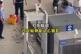 社死瞬间：过个安检竟能这么尴尬，ad钙奶误认为是危险物品#搞笑视频封面