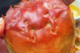 #秋天围炉煮蟹太安逸了 #精品大闸蟹 #螃蟹🦀 #谁懂这一口的好吃程度 #吃螃蟹