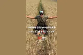 胡茬已经花白！#70岁任达华回山东老家收麦子 ，干起活来一点都不输年轻人，他说：“只有站在这里才明白什么是根！”